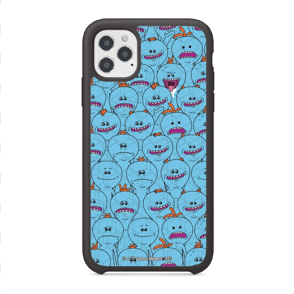 Rick and Morty Multiple mr...