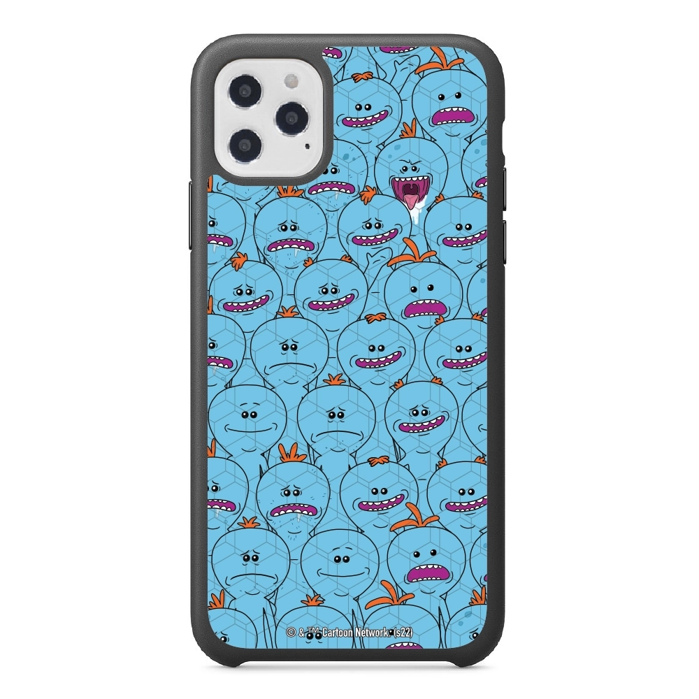 Rick and Morty Multiple mr...
