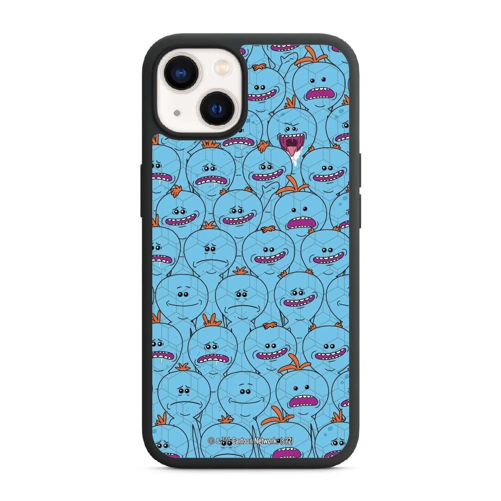 Rick and Morty Multiple mr...