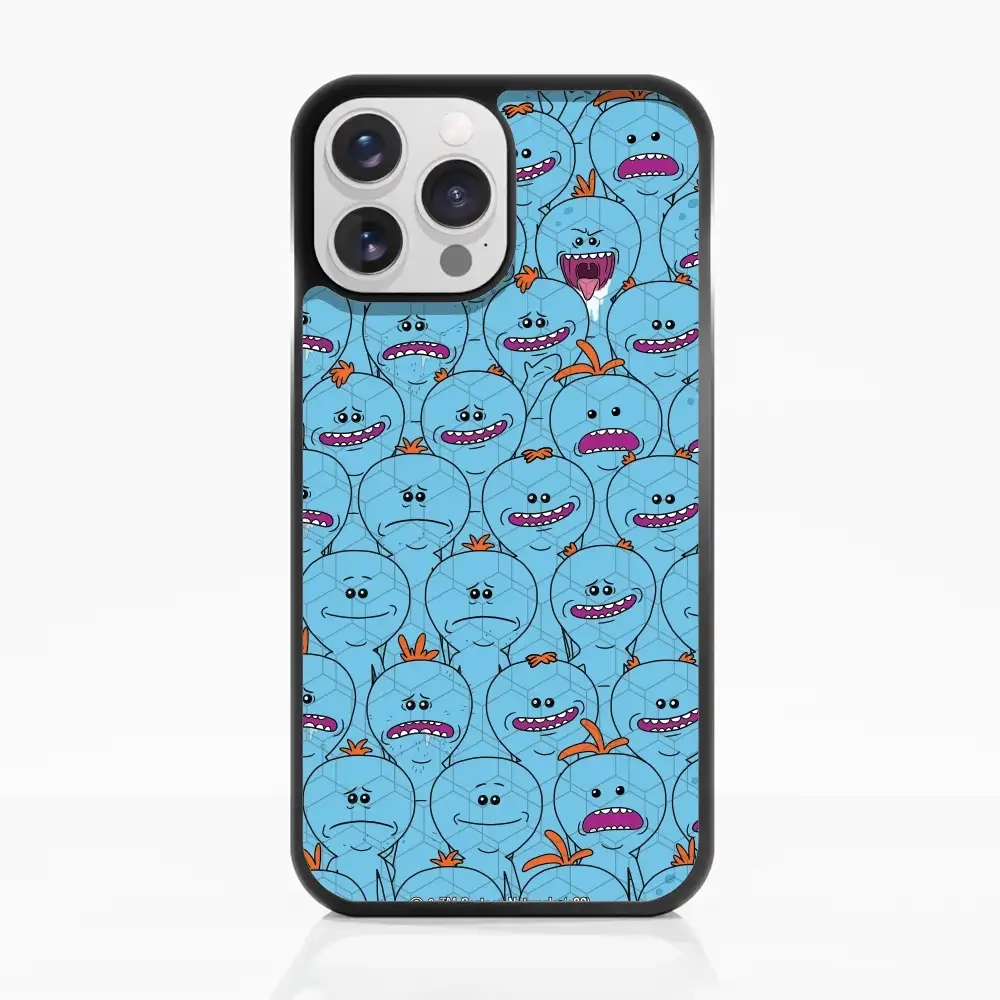 Rick and Morty Multiple mr...