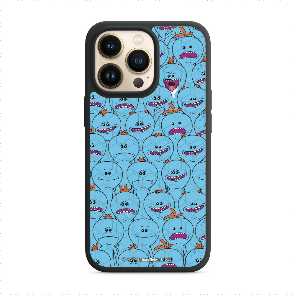 Rick and Morty Multiple mr...