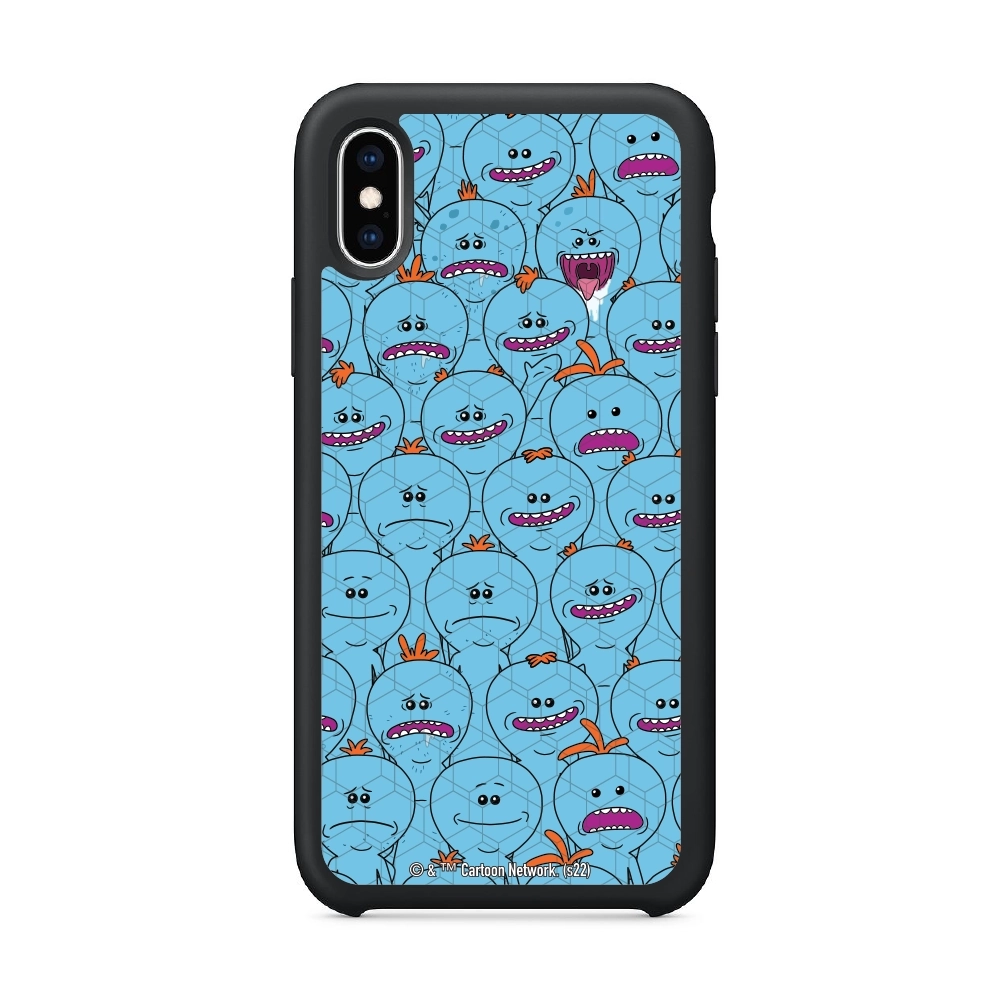 Rick and Morty Multiple mr...