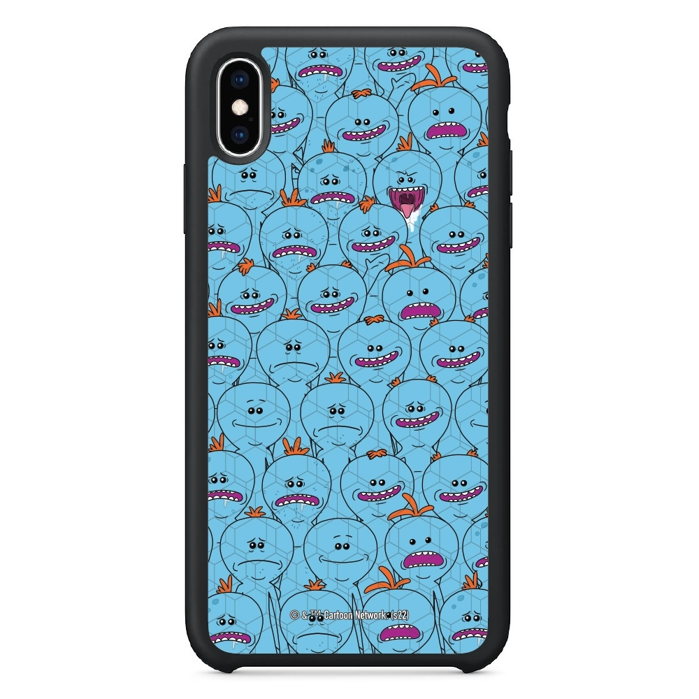 Rick and Morty Multiple mr...