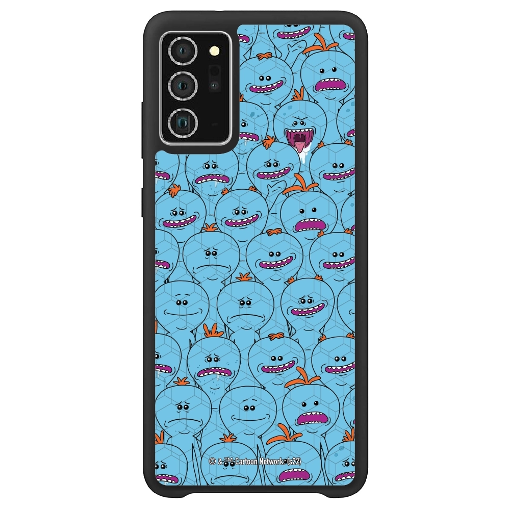 Rick and Morty Multiple mr...