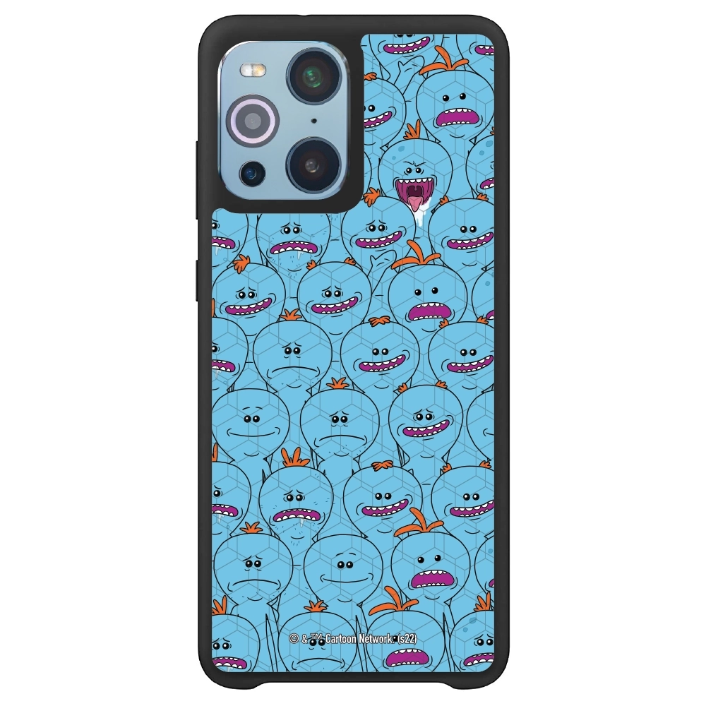 Rick and Morty Multiple mr...