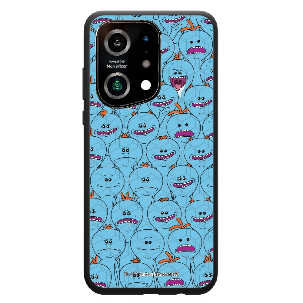 Rick and Morty Multiple mr...