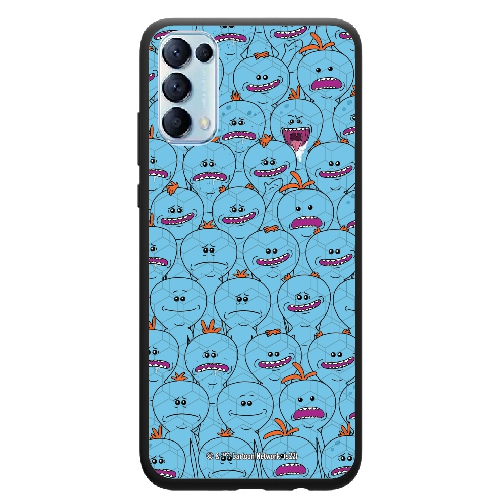 Rick and Morty Multiple mr...