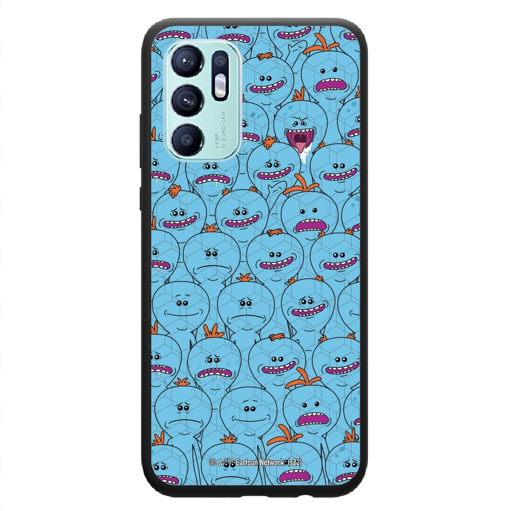 Rick and Morty Multiple mr...