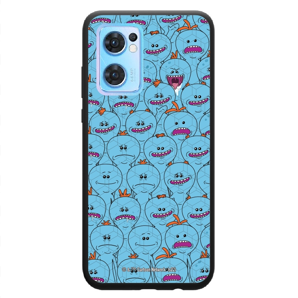 Rick and Morty Multiple mr...