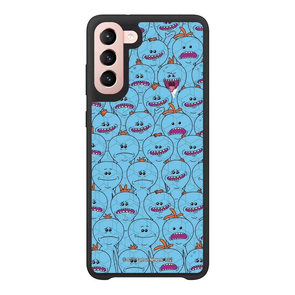 Rick and Morty Multiple mr...