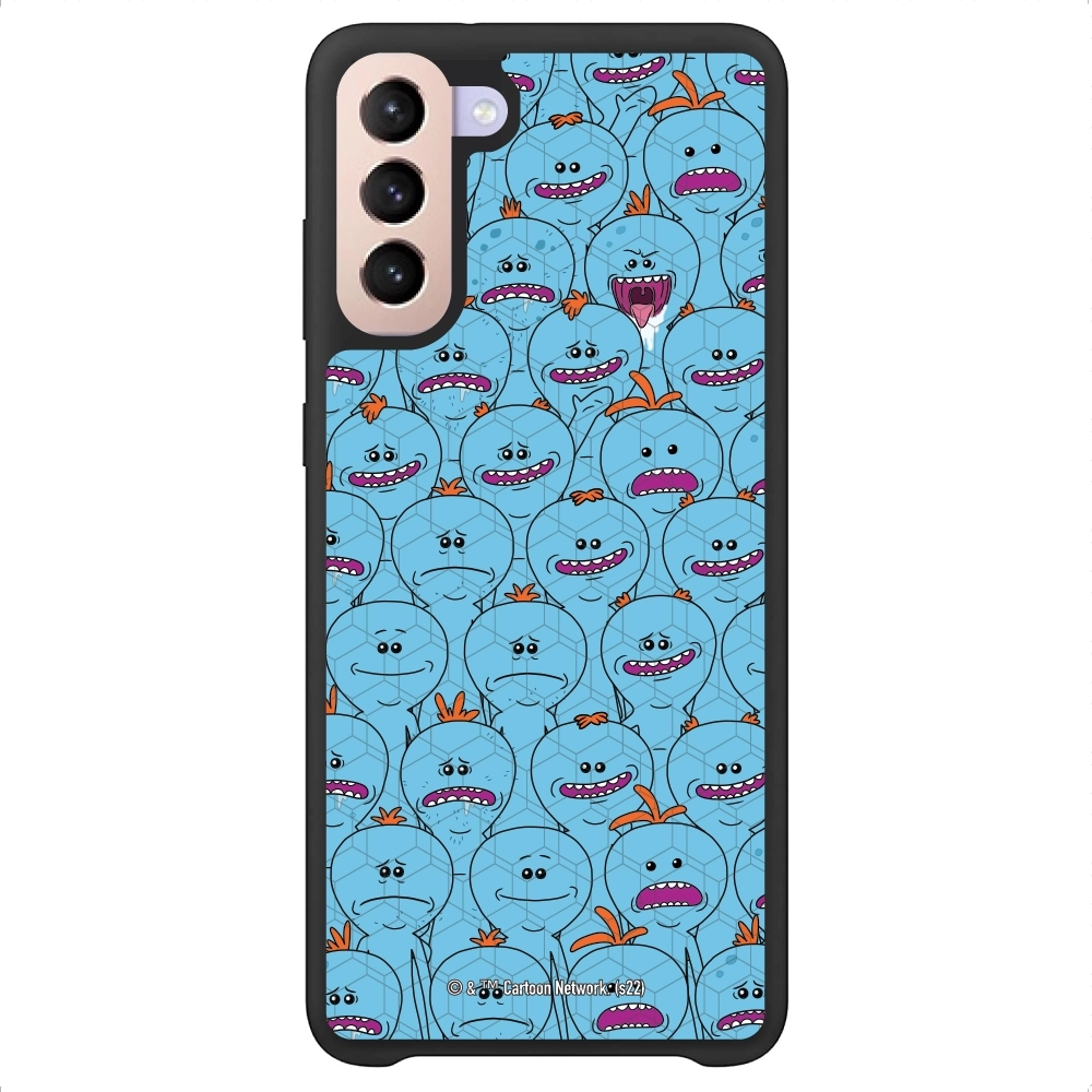 Rick and Morty Multiple mr...