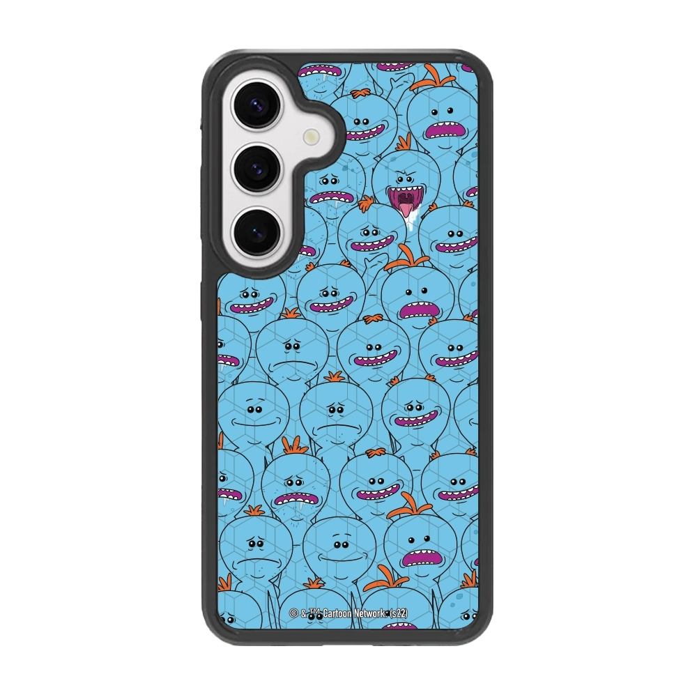 Rick and Morty Multiple mr...