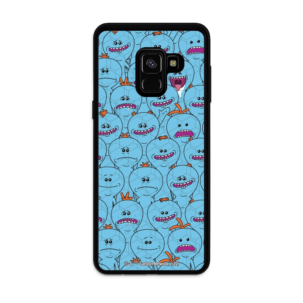 Rick and Morty Multiple mr...