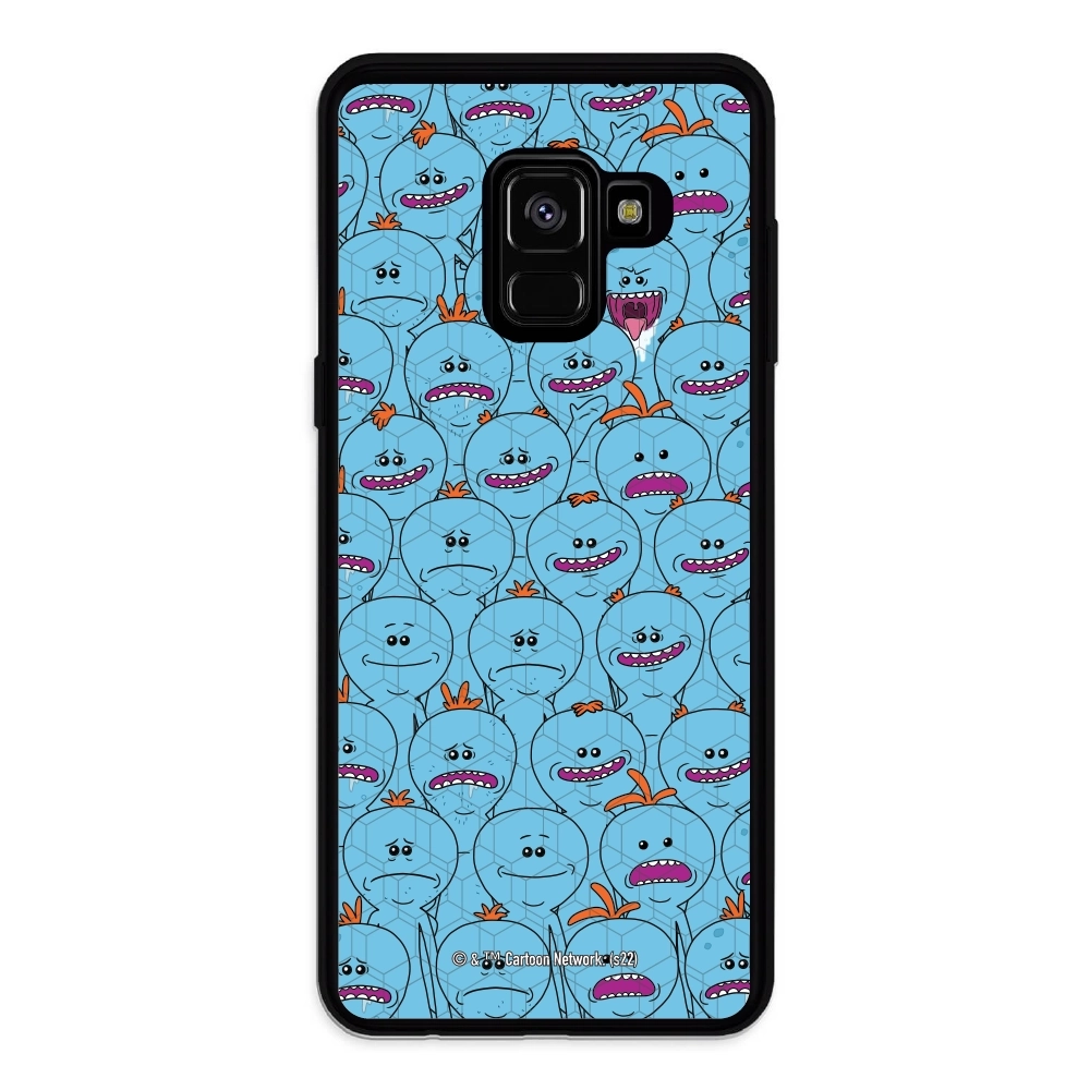 Rick and Morty Multiple mr...