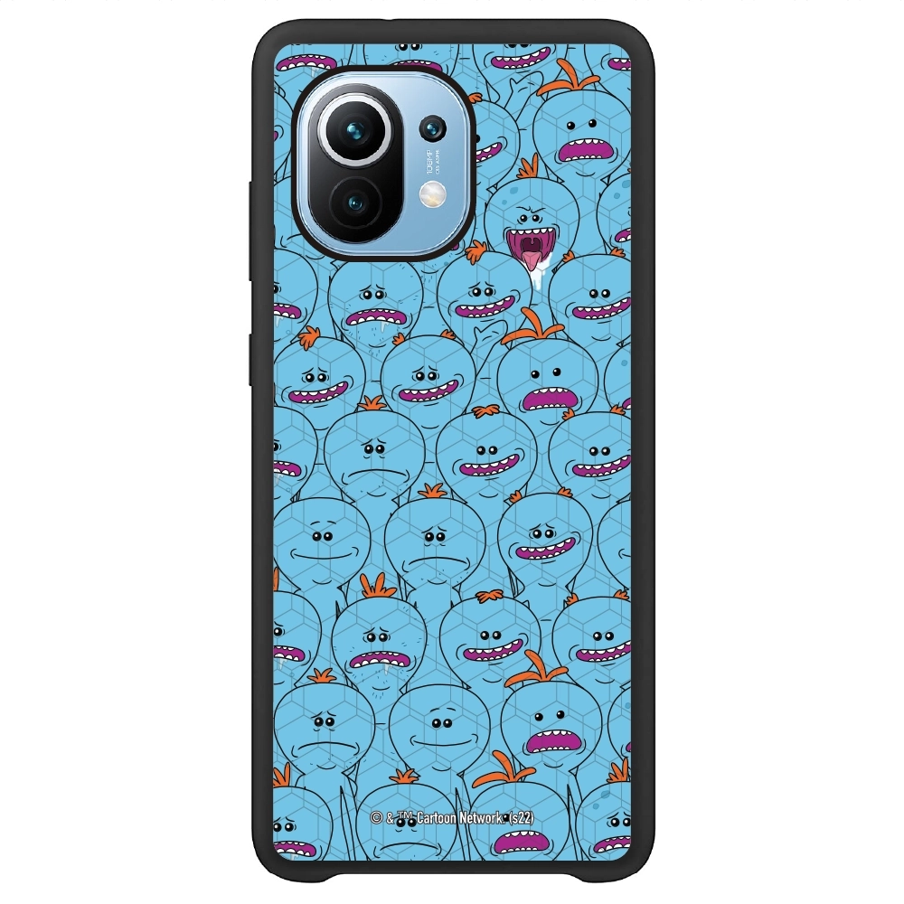 Rick and Morty Multiple mr...