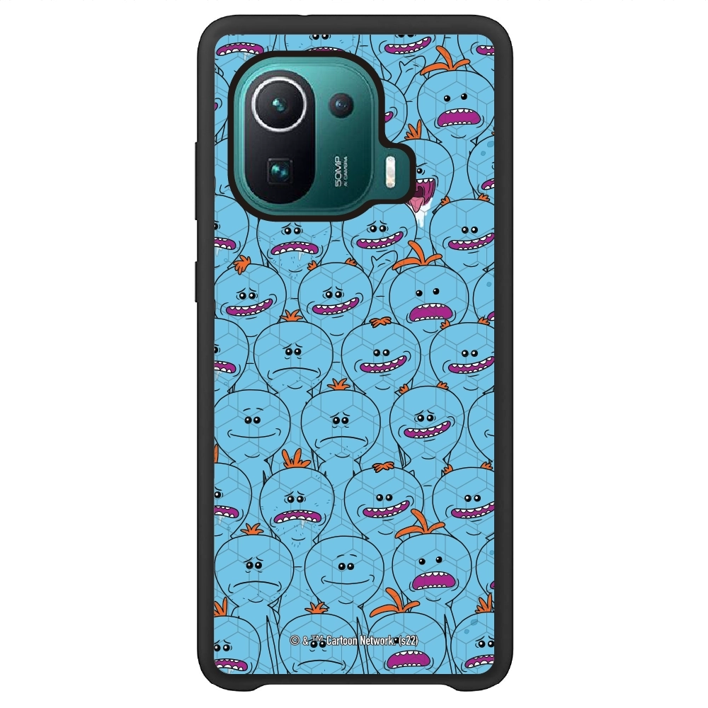 Rick and Morty Multiple mr...