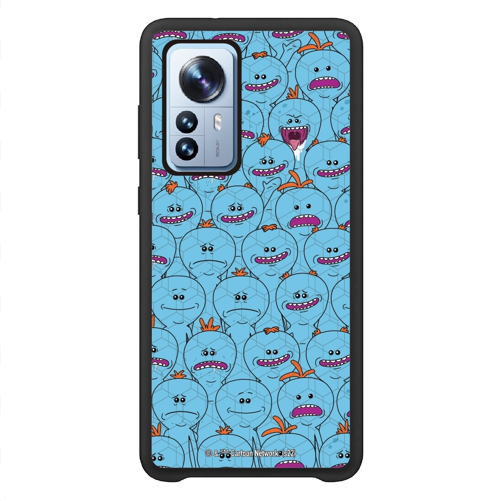 Rick and Morty Multiple mr...