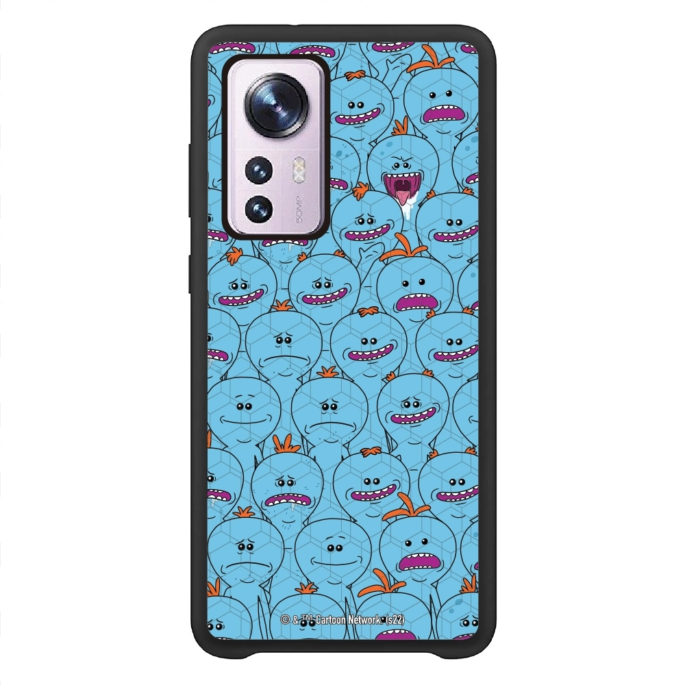 Rick and Morty Multiple mr...
