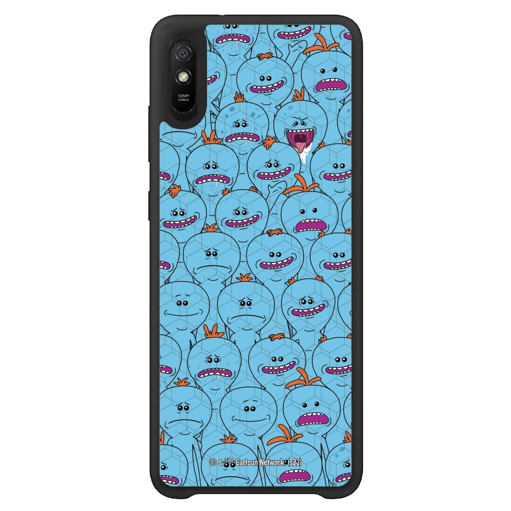 Rick and Morty Multiple mr...