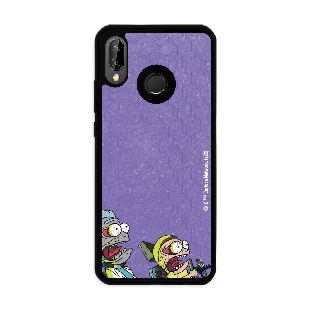 Rick and Morty driving...