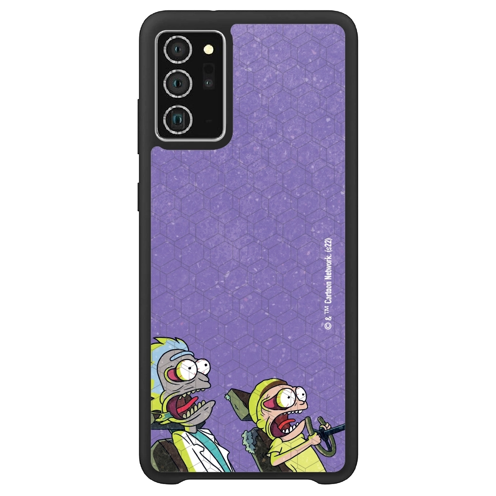 Rick and Morty driving...
