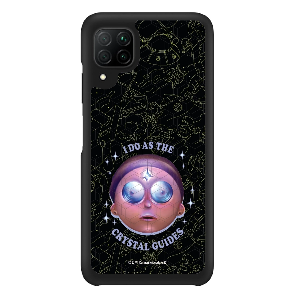 Rick and Morty I do as the...