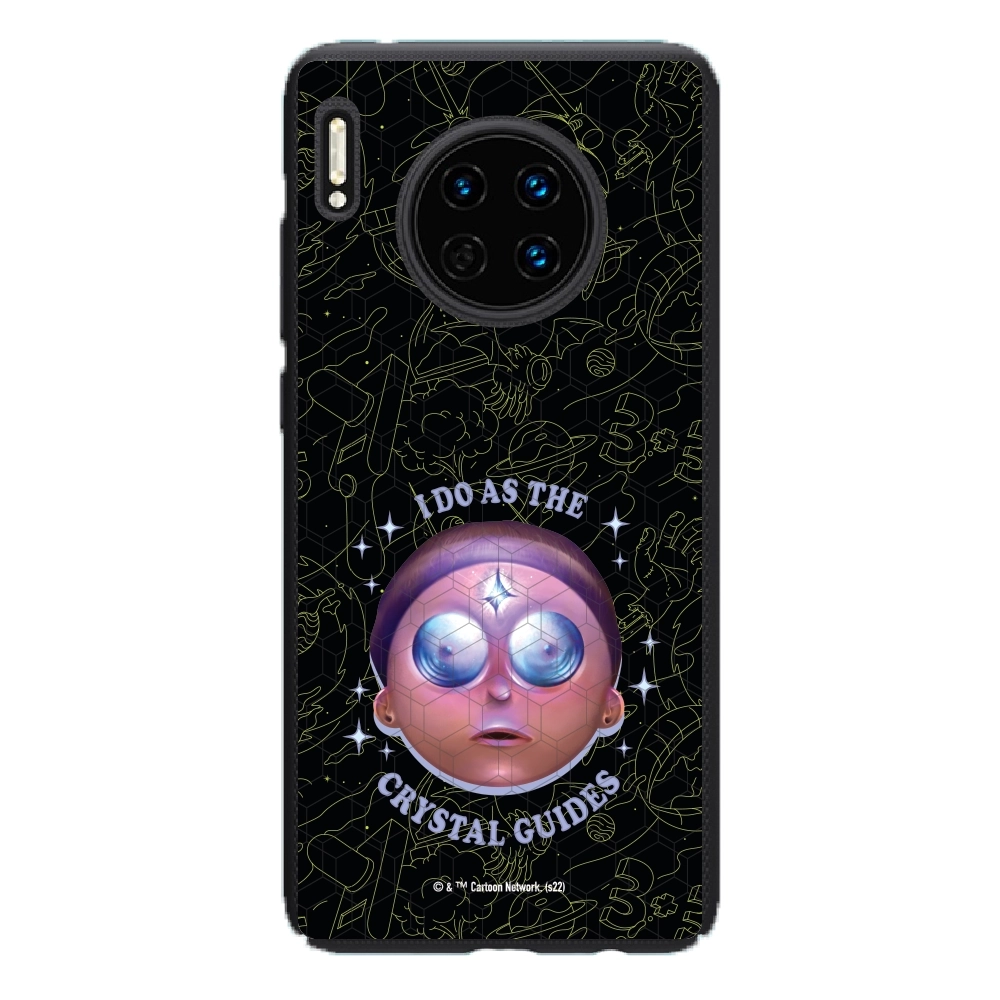 Rick and Morty I do as the...